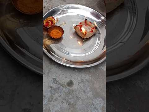 जिसका विवाह नहीं हो रहा है देवउठनी एकादशी के दिन करें ये उपाय #pradeepmishra #devuthniekadashi #yt