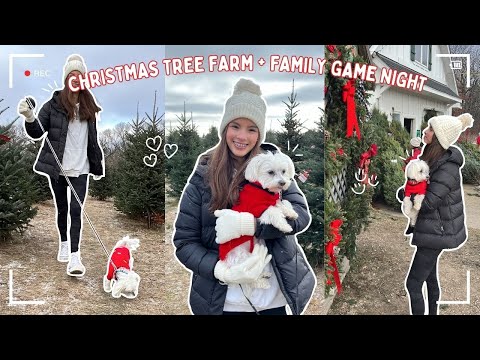 Christmas Tree Farm + Family Game Night 🎄❤️