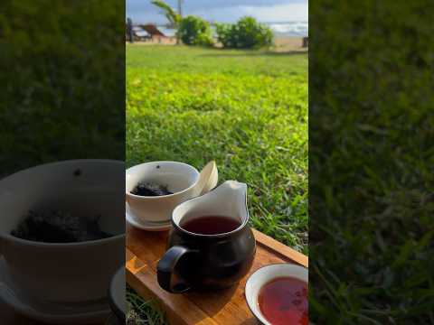 #meditationmusic #nature #tea #puer #teaceremony #chinesetea #teaculture #чай #пуэр #чайныйпьяница