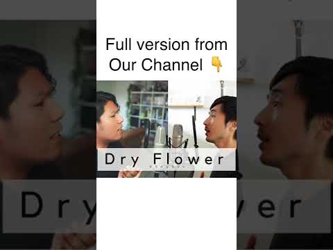 Dry flower duet cover #shorts