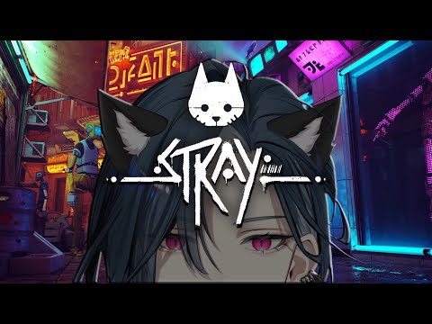 【浪貓 Stray】 ? ( Φ ω Φ ) ヾ(*Φ ω Φ)ツ   ( Φ ω Φ ) ? ｜🦋格萊伊 Graal