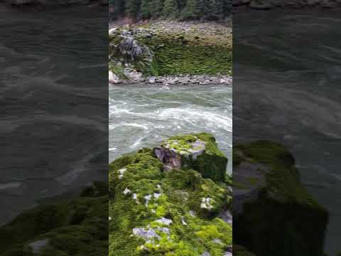 You Don't Want To Fall Into the River Here - Massive Boil & Keeper Hole