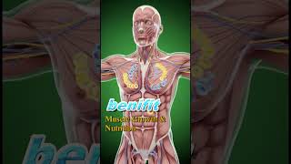 What Really Happens Inside Your Body When You Drink Milk