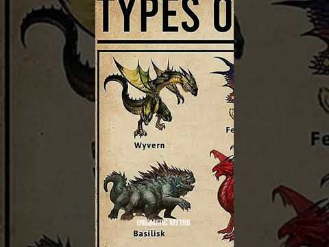 Types Of Dragons | Wyvren Dragon | Part- 6 #shorts