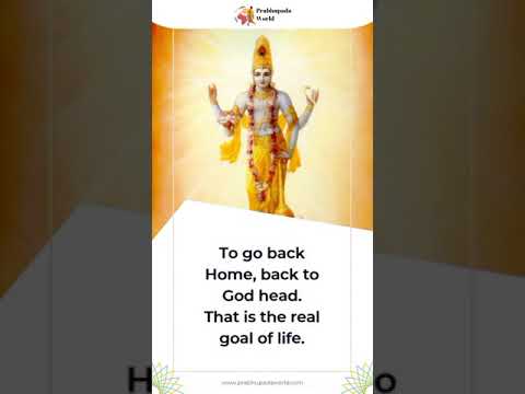 Real Goal of Human Life