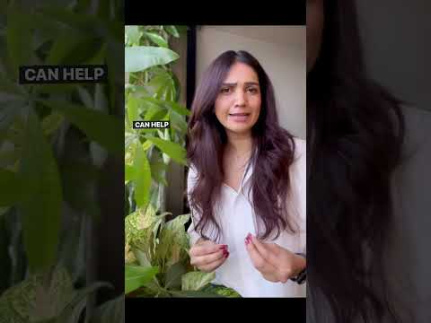 Why is it important to work on Mobility ?