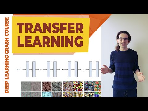 Transfer Learning