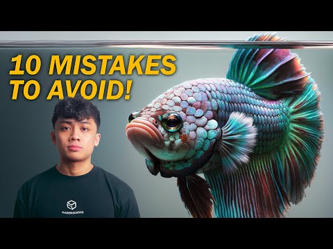 Avoid These 10 Mistakes for Your Betta Fish!