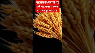 मासिक शिवरात्रि पर करें यह उपाय क्लेश समाप्त हो जाएगा#पंडितप्रदीपमिश्राजी #trendingshorts#shortsfeed