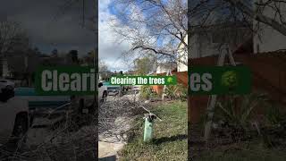 Pruning the trees #love #makemyhomes #loveart #art #facts #makeyourhome #lovepoems
