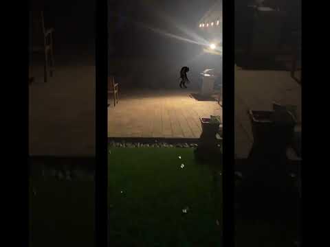 #werewolf #sighting