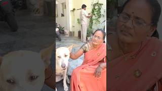 कुत्र नाही म्हणायचं 🤣#dhoomdhadaka comedy #funny