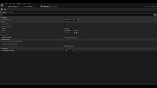 UE Widget Inventory 009 Input Action Action Description