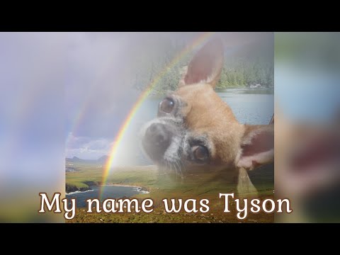 Tyson's story