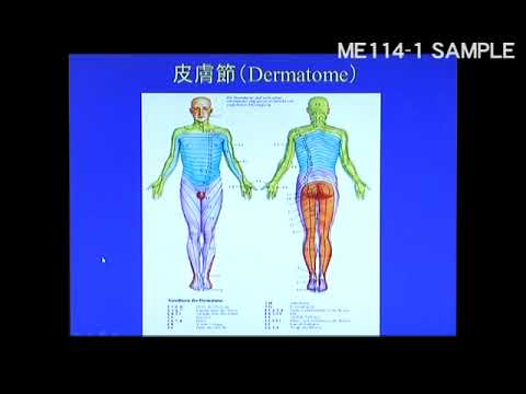 ME114-1 Myotuning Approach MTA概論 SAMPLE MOVIE