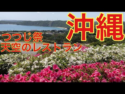 天空のレストラン／東村のつつじ祭り／沖縄でコーヒー豆栽培？「又吉コーヒー園」見学