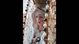 amme yante amme fr dominic AAMIYA SWARGA MATHA #frdominicvalanmanal #frdominicvalanmanallive