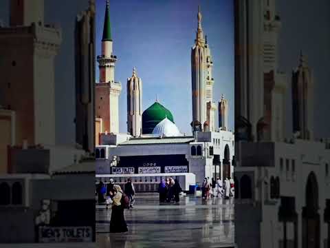 Jashn e Amad e Rasool - Farhan Ali Qadri #islam #freepalestine #shorts #youtubeshorts #shortvideo