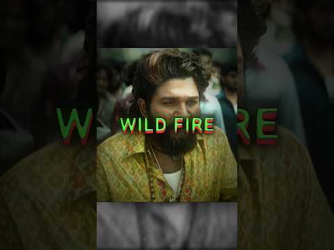 Wild Fire 🔥 - Pushpa 2 | Hitzz Editz #shorts