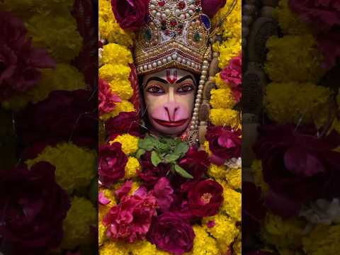 साल का आखिरी मंगलवार || Icchapurti Balaji #hanuman #darshan #status #shorts