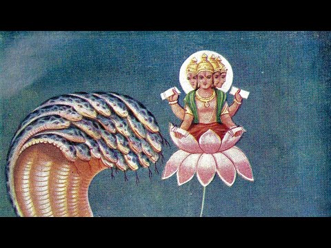 Jaimini Astrology - Top Secret - Nakshatra Argala