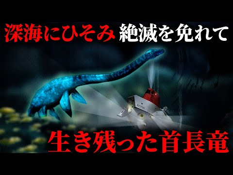 深海潜水艇が目撃した「プレシオサウルス」に似た巨大な未確認生物【ミステリー】