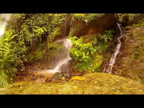 Relaxing, Soothing Music, Meditation And Stress Relief Music, Calming Music