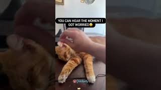 #fypシ #fypシ #gaming101 #learnontiktok #experiment #mythbusters #oneminute #quicktips