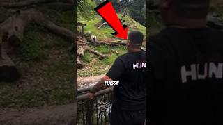 Never Do This at the Zoo 😳🚫