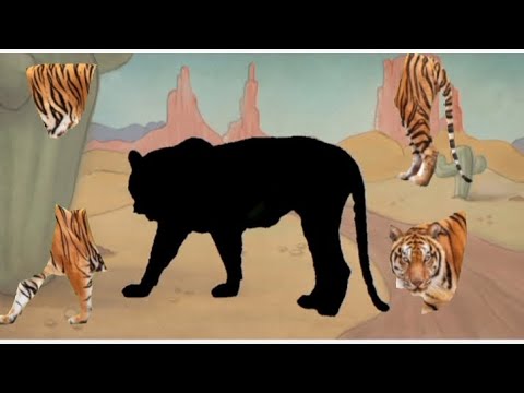 Tiger puzzle games with fun & learning..