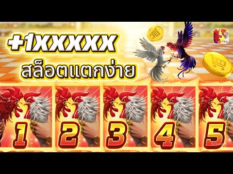 สล็อต สล็อตเว็บตรง สล็อตแตกง่าย slotpg | สูตรลับเกมสล็อตแตกหนัก ล่าสุด
