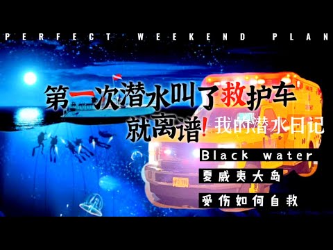 [我的潜水日记|3] 能说出3种生物的名字算你厉害! | 第一次潜水叫救护车|夏威夷大岛潜水|黑水潜水|Blackwater#diving #潜水 #blackwater