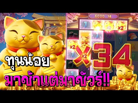 Lucky Neko : สล็อตPG สล็อตแมวทอง แมวทองเข้าโหด!! สล็อตแตกง่าย !!