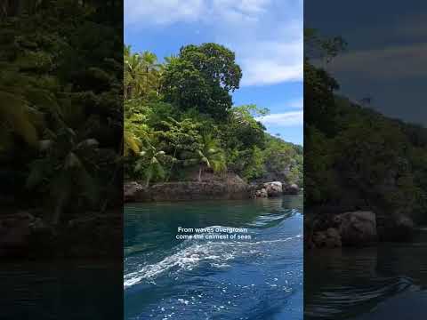 Rythm of the waves 🌊 #waves #nature #youtubeshorts #sea