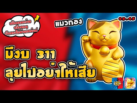 สล็อตแตกง่าย สล็อตpg เว็บตรงไม่ผ่านเอเย่นต์ แมวทอง มีงบ 311 ลุยไปอย่าให้เสีย