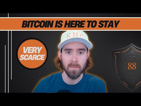 owning 1 bitcoin will be incredibly rare