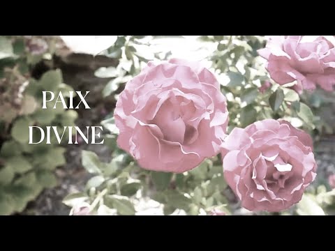 Chant spontané - Ressentir la Paix divine en soi