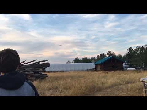 Hobbyzone super cub flight