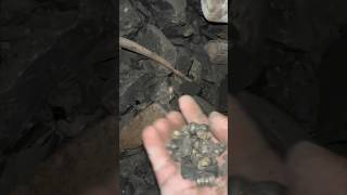 gold Mining 😄⛏️ #treasuresearch #goldmining
