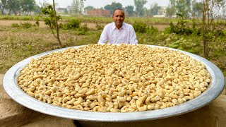 Casserole Casserole Recipe | Cashew Ki Barfi Recipe | Cashew Nut Pot | Village Food Secrets | Mub...