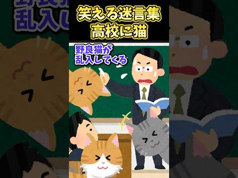 笑える迷言集～高校に猫～【2ch面白スレ】