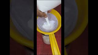 Make Curd from Raw Milk! Easy Process