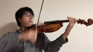 Strauss Don Juan Viola Excerpt