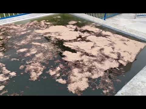 Water Surface Simulation: Revolutionizing Oily Water Treatment Solutions