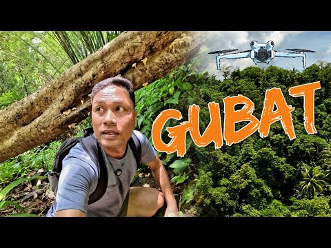 SA GITNA NG KAGUBATAN NG QUEZON, ANO NGA BA ANG MAKIKITA DITO.