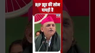 BJP झूठ की सोन पापड़ी है #dblive #akhileshyadav #latestnews #news #bjp #election2026