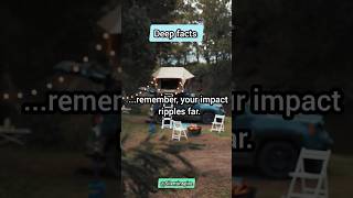 "Ripples of Purpose: Impact Beyond Measure"