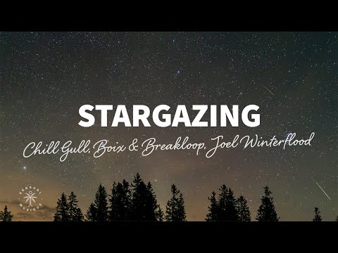 Chill Gull, Boix & Breakloop, Joel Winterflood - Stargazing (Lyrics)