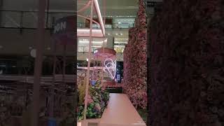 #2024# #exploreworld #explorebahrain #youtubeshorts #video.