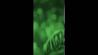 Thalapathy Vijay love WhatsApp status#